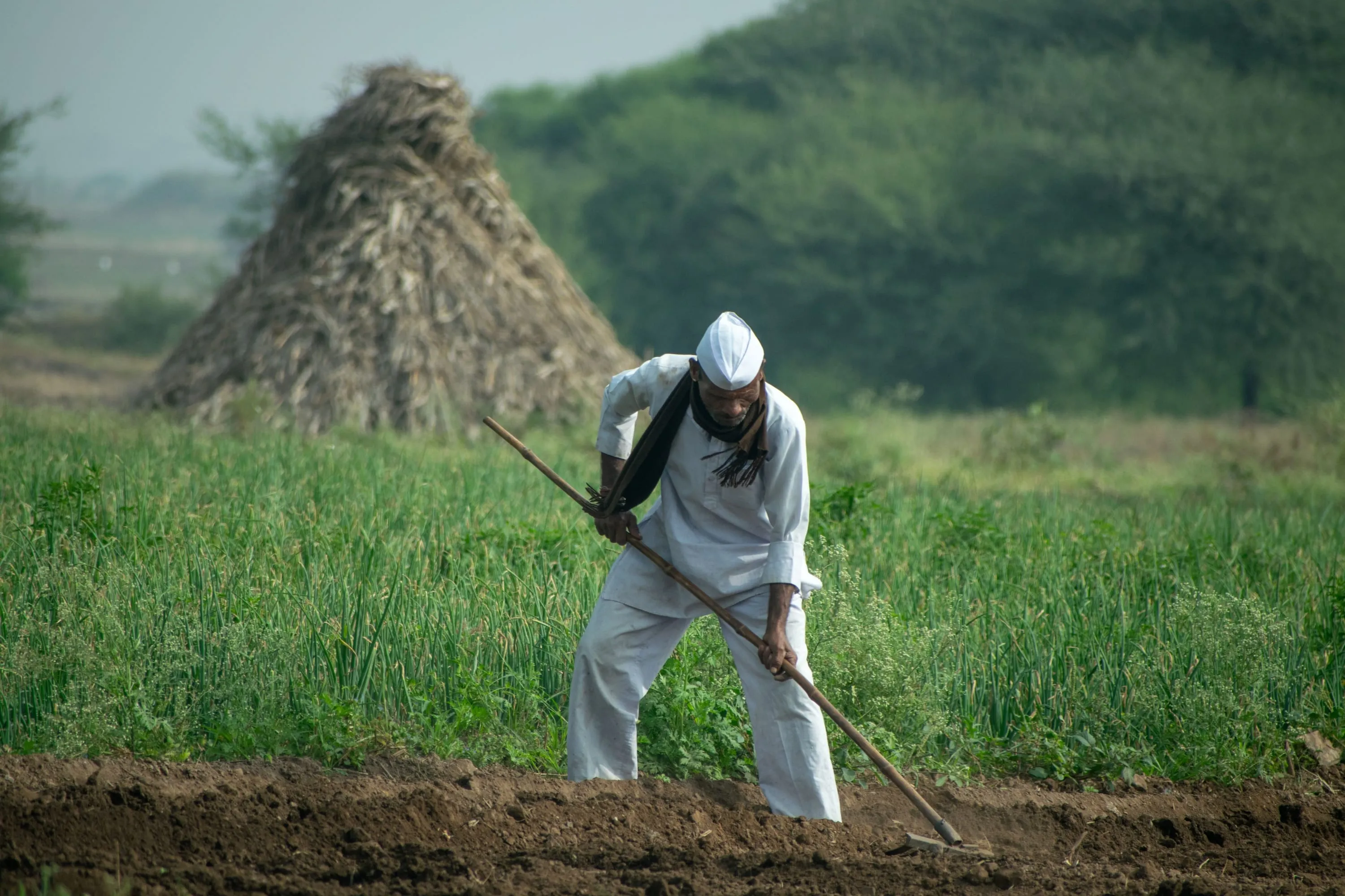 A farmer in white bent over a hoe in a green field, a conical haystack standing behind him.