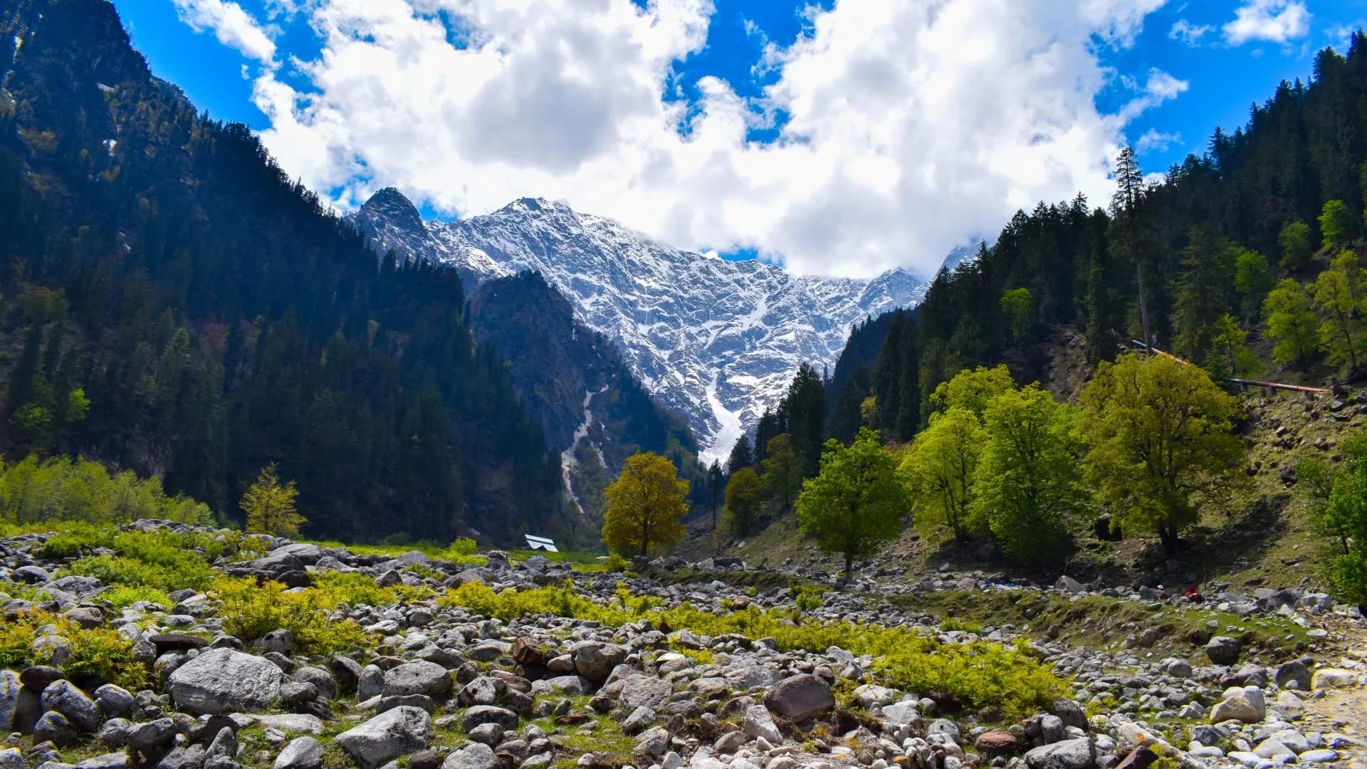 A dry riverbed of rounded grey stones leading towards a snowfield and a wooded ridge.