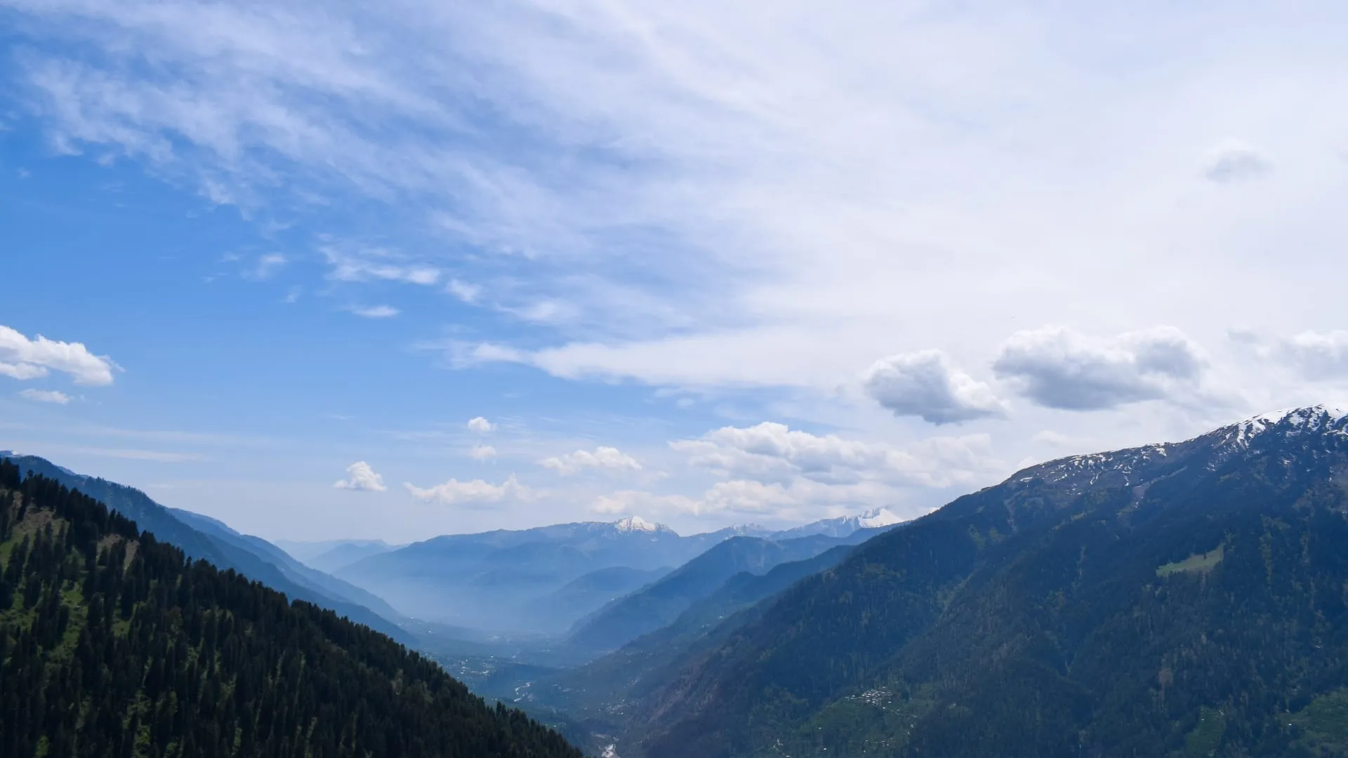 A wide forested valley receding into layers of blue haze under a flat overcast sky.