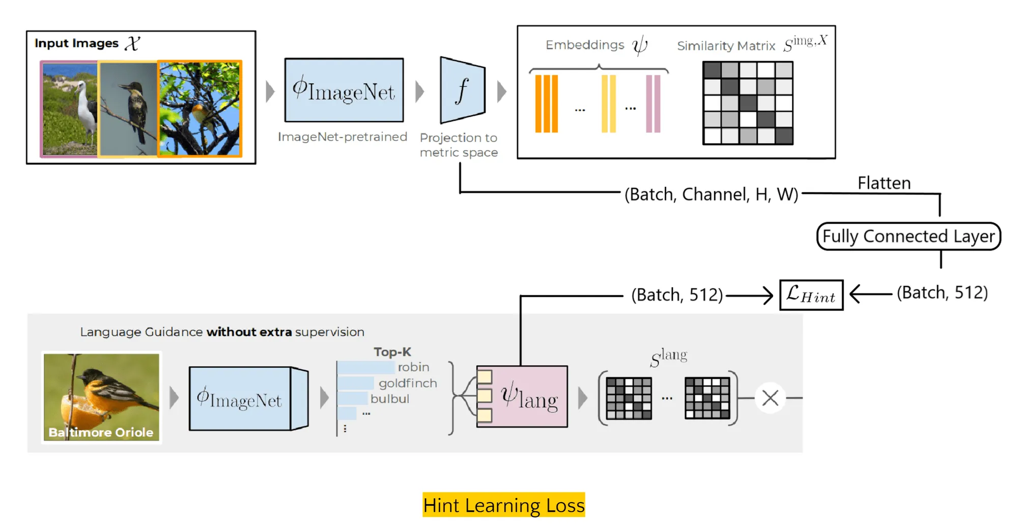 A diagram: a batch of bird photographs runs through an ImageNet-pretrained backbone into an embedding and a similarity matrix; below it, the same photograph produces top-K class words that a language model turns into a second similarity matrix, and a hint loss joins the two.