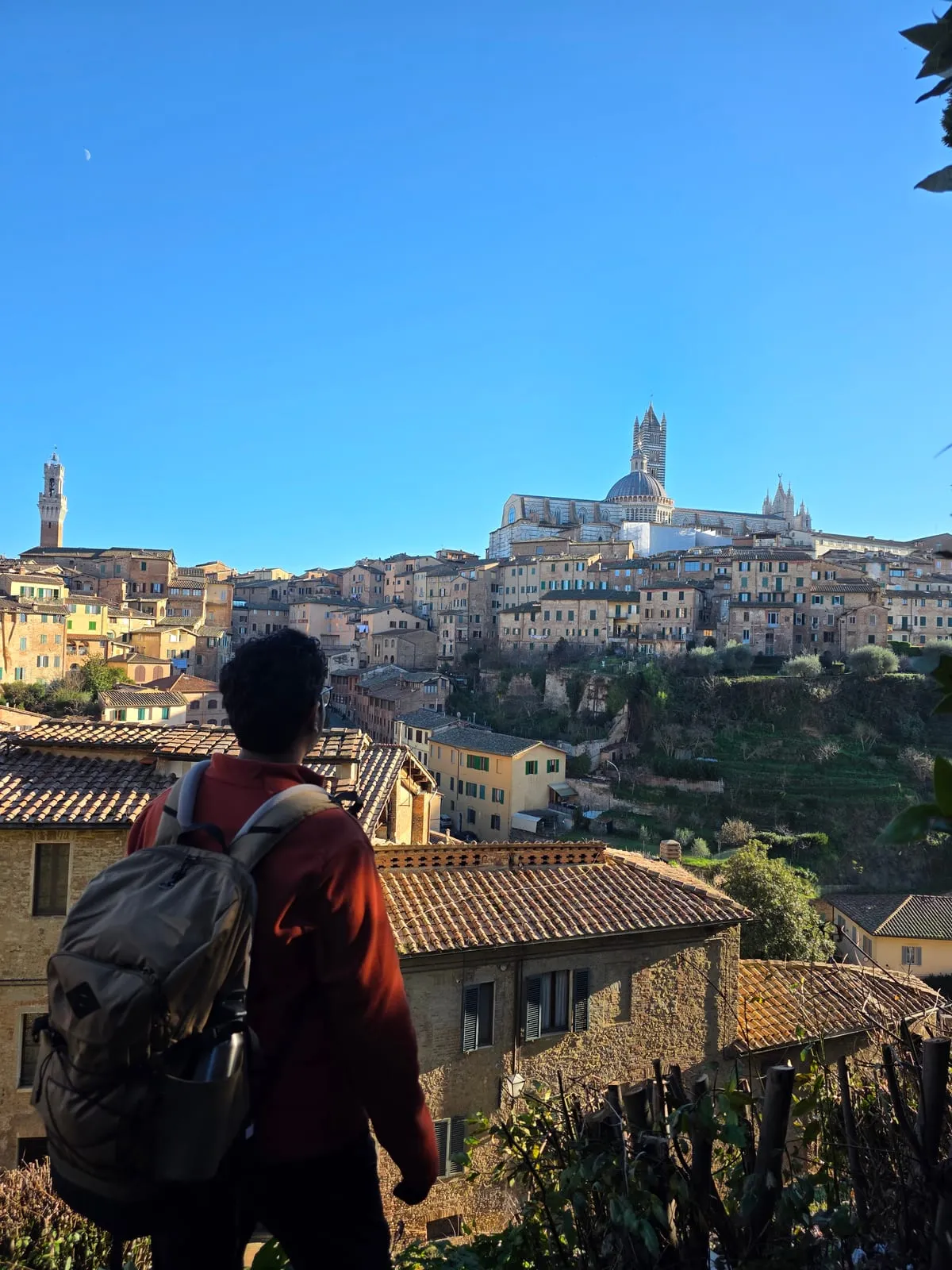 Siddhesh seen from behind, looking out over the rooftops of Siena, Italy, towards the cathedral and the Torre del Mangia under a clear blue sky.